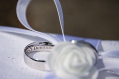 SD__DSC5569