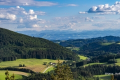 DSC1408