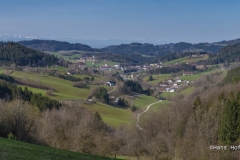 DSC4955
