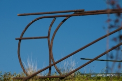 DSC0485a