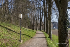 DSC4938
