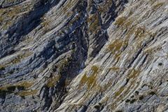 DSCN1433