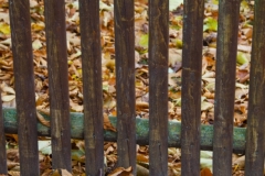DSC5386a