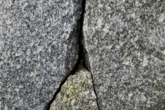 DSCN2441