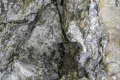 DSCN2462
