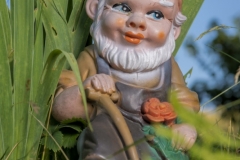 Gartenzwerg
