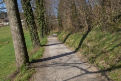 DSC4935
