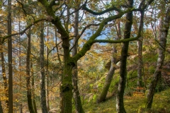 DSC0672_1x1